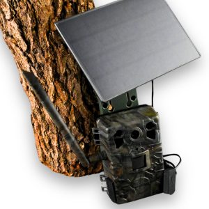 Kamera dla pszczelarzy TOPHUNT H6 Dark Green